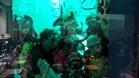 wp_20160320_13_54_35_pro.jpg